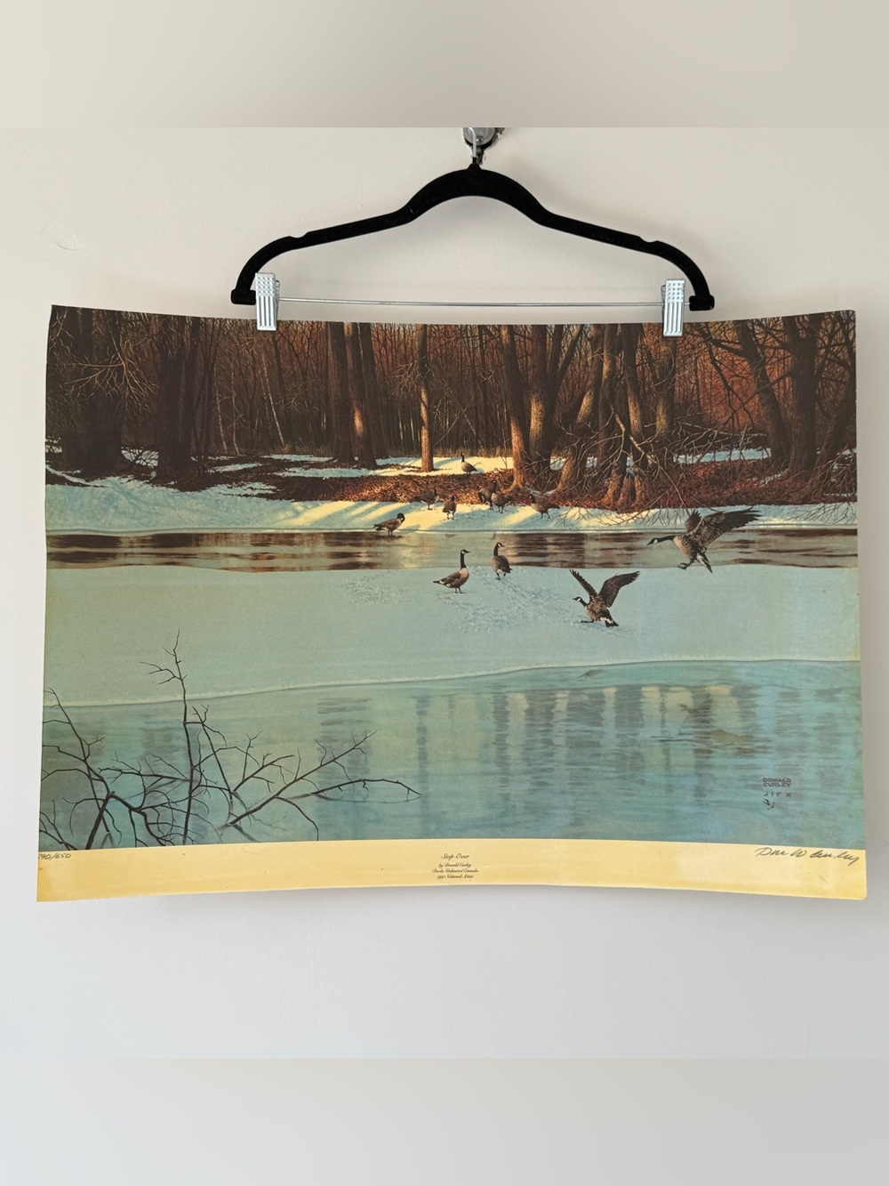 Ducks Vintage Stop-Over Limited Edition Signed & Numbered Print by Donald Curley